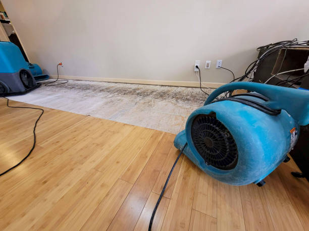 Professional Sewage Cleanup technician working in Braxton, MS